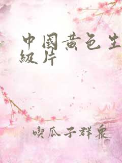 中国黄色生活一级片