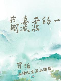 我妻子的一切未删减版