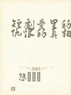 短剧爱里的谎言仇恨的真相在线观看