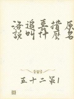 洛追嘉措原著小说叫什么名字