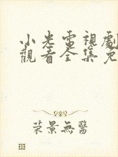 小光电视剧在线观看全集免费高清