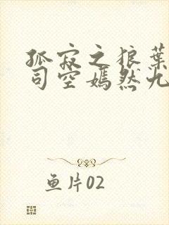 孤寂之狼叶凡与司空嫣然九十章