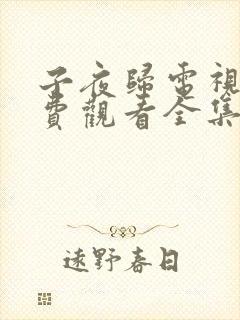 子夜归电视剧免费观看全集高清下载