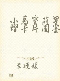 小马宝莉星光熠熠卡片图鉴