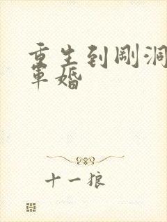 重生到刚洞房的军婚