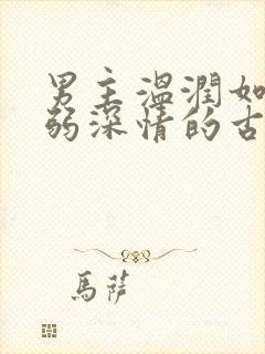 男主温润如玉病弱深情的古言