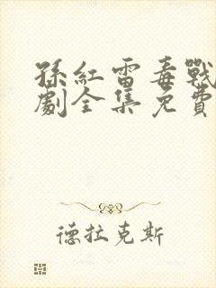 孙红雷毒战电视剧全集免费观看