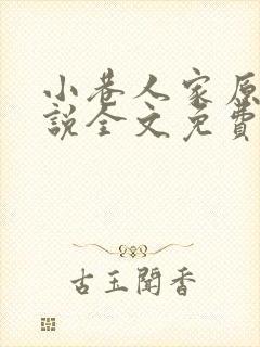 小巷人家原著小说全文免费阅读