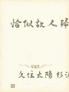 恰似故人归小说