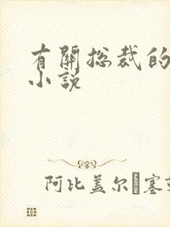 有关总裁的言情小说