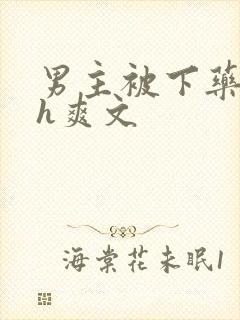 男主被下药后高h爽文