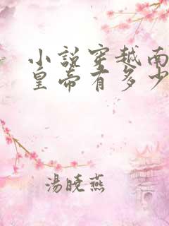 小说穿越南宋当皇帝有多少章