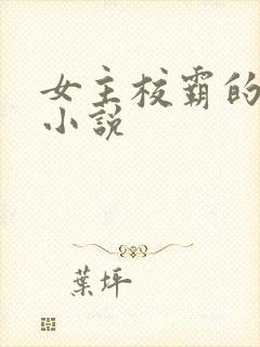 女主校霸的校园小说