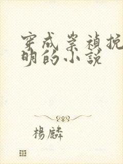 穿成崇祯挽救大明的小说