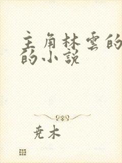 主角林云的穿越的小说