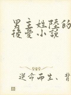男主姓陆的先婚后爱小说