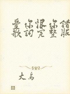 爱你恨你错过你歌词完整版