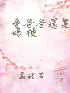 爱爸爸还是爱妈妈 梗