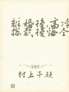 离婚后,高冷女总裁后悔全本