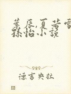 叶辰,夏若雪,孙怡小说