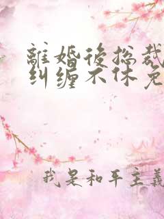 离婚后总裁前夫纠缠不休免费全文阅读