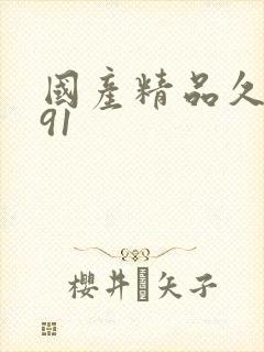 国产精品久久久91