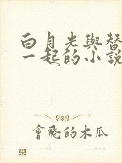 白月光与替身在一起的小说双男主