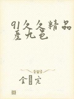 91久久精品国产九色