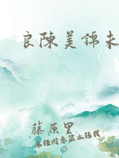 良陈美锦未删减