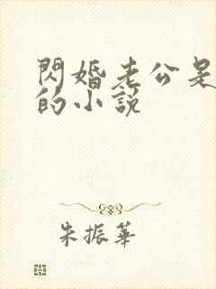 闪婚老公是总裁的小说