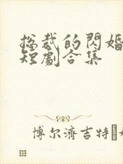 总裁的闪婚甜妻短剧合集