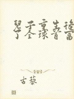 儿子重生后我成了全球首富