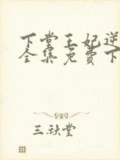 下堂王妃逆袭记全集免费下载