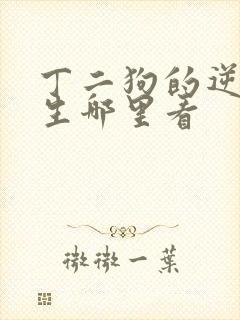 丁二狗的逆袭人生哪里看