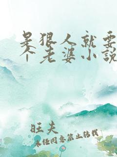 是狠人就要娶四个老婆小说阅读