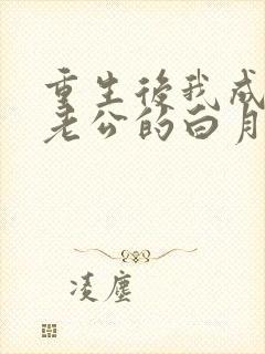 重生后我成了渣老公的白月光小说