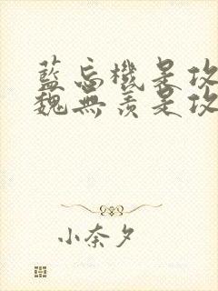 蓝忘机是攻还是魏无羡是攻