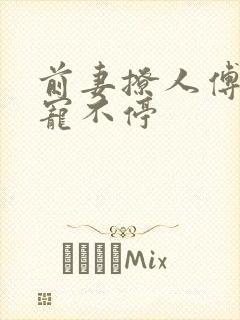 前妻撩人傅先生宠不停