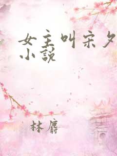 女主叫宋夕颜的小说