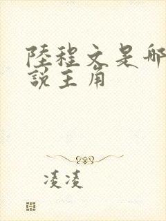 陆程文是哪本小说主角