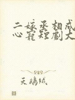 二嫁丞相成了掌心宠短剧大结局