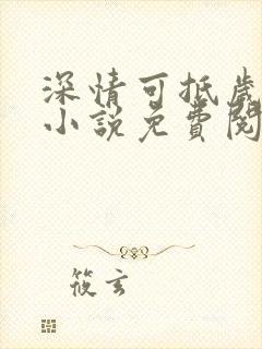 深情可抵岁月长小说免费阅读