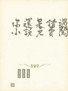 你还是错过了我小说免费阅读无弹窗