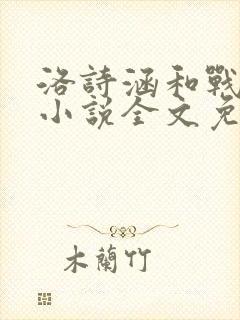 洛诗涵和战寒爵小说全文免费阅读正版笔趣阁