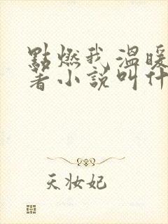 点燃我温暖你原著小说叫什么