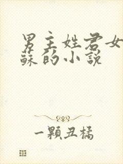 男主姓君女主姓苏的小说