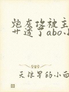 炮灰攻被主角攻艹透了abo小说