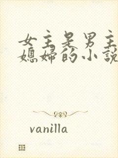 女主是男主的儿媳妇的小说