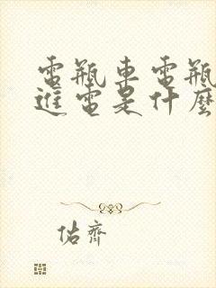 电瓶车电瓶充不进电是什么原因