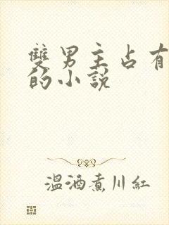 双男主占有欲强的小说